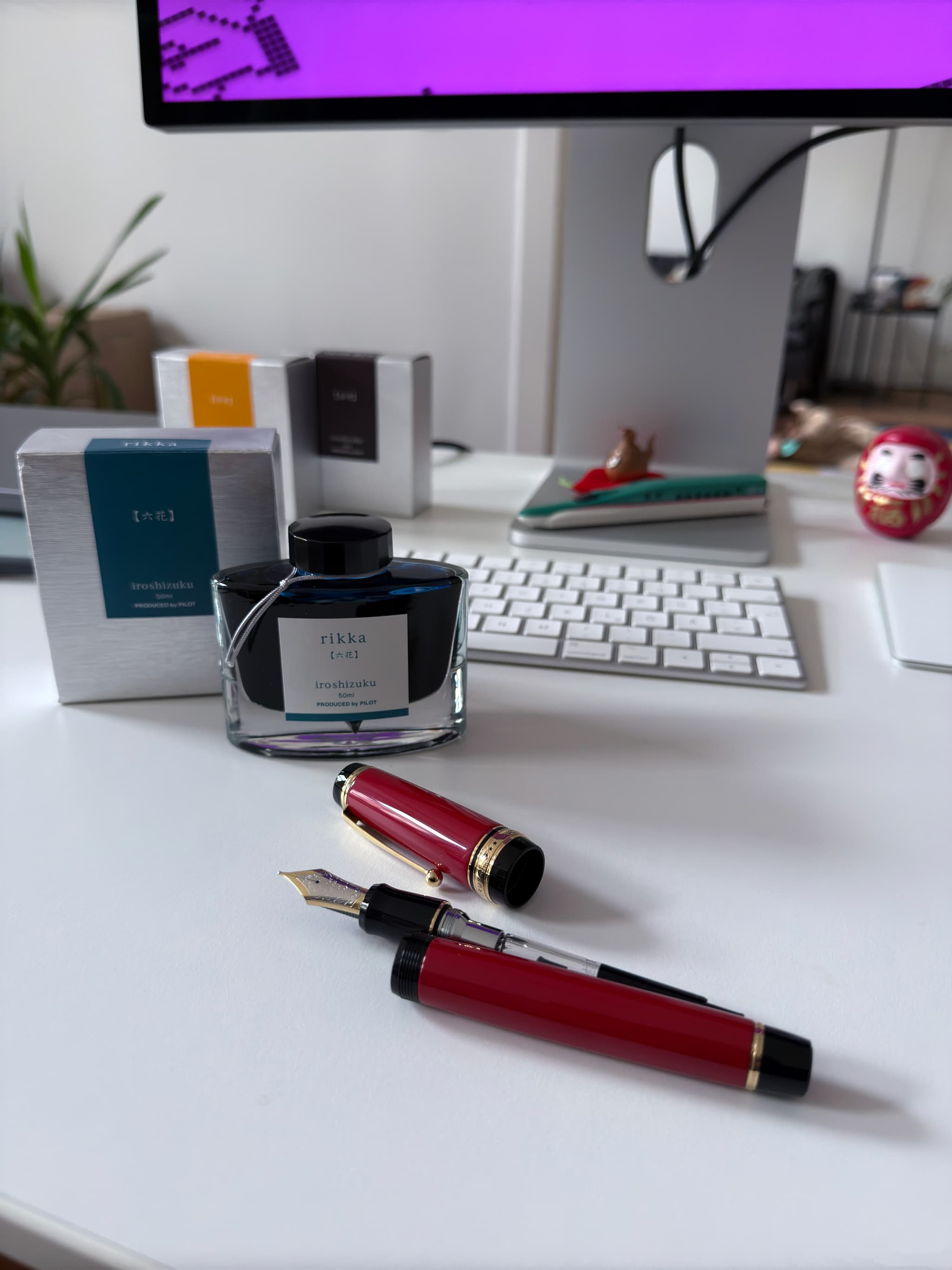 Fountain pen and ink